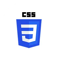 CSS 研修